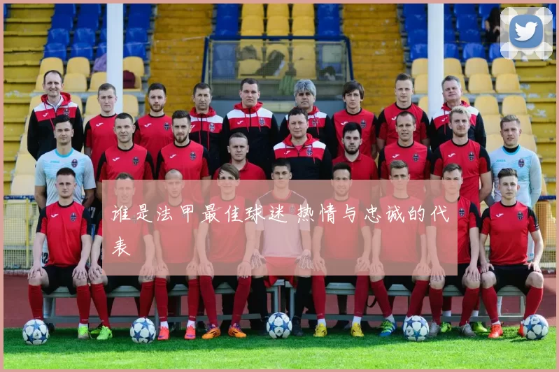 谁是法甲最佳球迷 热情与忠诚的代表