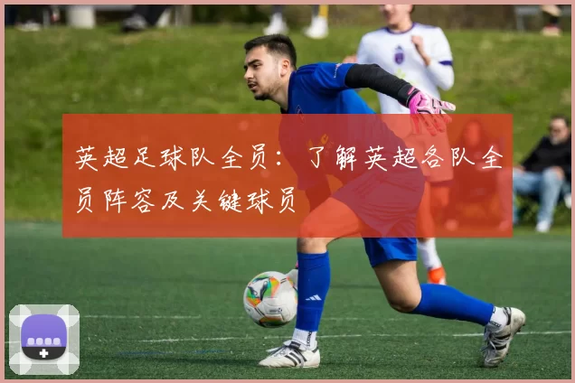 英超足球队全员：了解英超各队全员阵容及关键球员