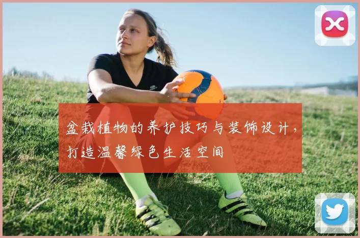 盆栽植物的养护技巧与装饰设计，打造温馨绿色生活空间