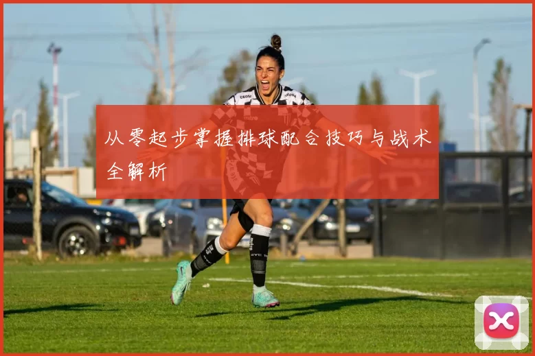 从零起步掌握排球配合技巧与战术全解析