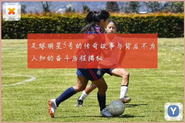 足球明星5号的传奇故事与背后不为人知的奋斗历程揭秘