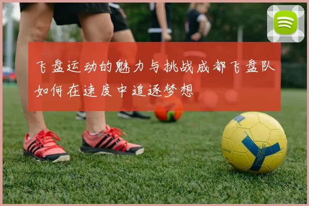 飞盘运动的魅力与挑战成都飞盘队如何在速度中追逐梦想