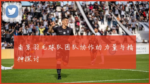 南京羽毛球队团队协作的力量与精神探讨