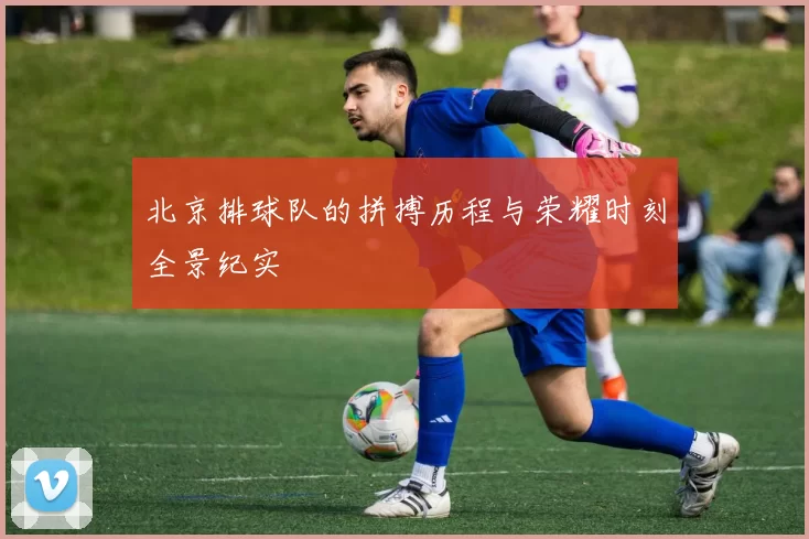 北京排球队的拼搏历程与荣耀时刻全景纪实