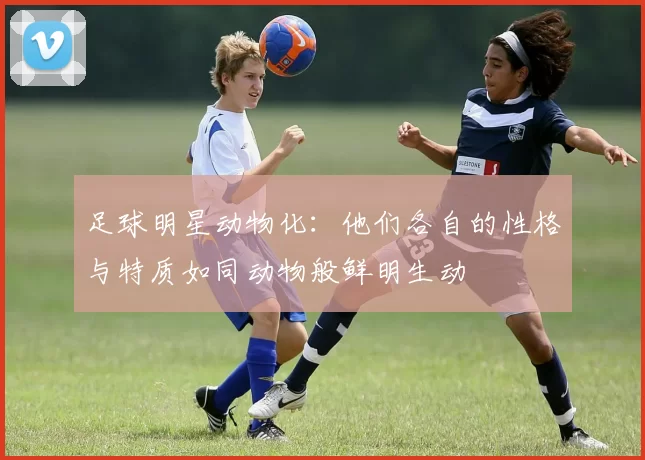 足球明星动物化：他们各自的性格与特质如同动物般鲜明生动