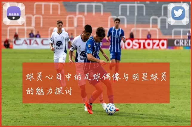 球员心目中的足球偶像与明星球员的魅力探讨