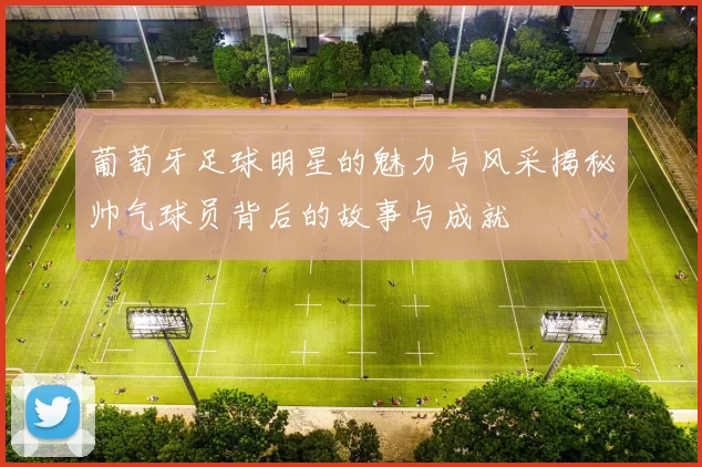 葡萄牙足球明星的魅力与风采揭秘帅气球员背后的故事与成就